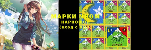 соль ск Пересвет